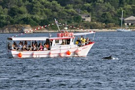 Paseo en barco al atardecer para avistar delfines en Pula con cena