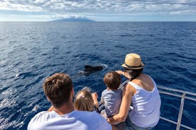독점 범선에서보고있는 고래와 돌고래
