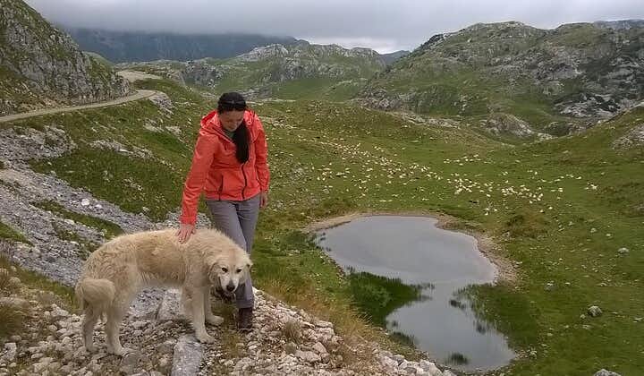 Durmitor NP private tour- Among Katuns, Shepherds and Geological Miracles 