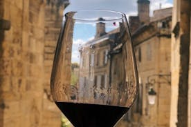 Paseo por los viñedos y Saint-Emilion con cata de vinos