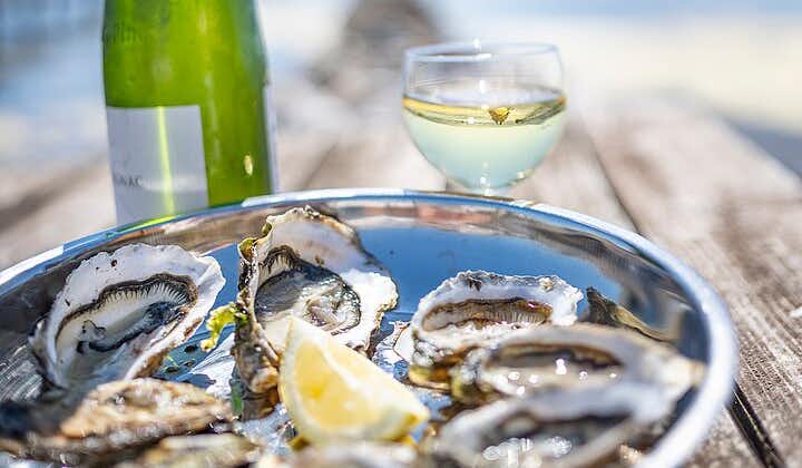 Privat halvdagstur til Languedoc vin og østers fra Sète