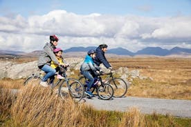 Ciclando Wild Atlantic Way: tour di 1 giorno con guida autonoma da Clifden
