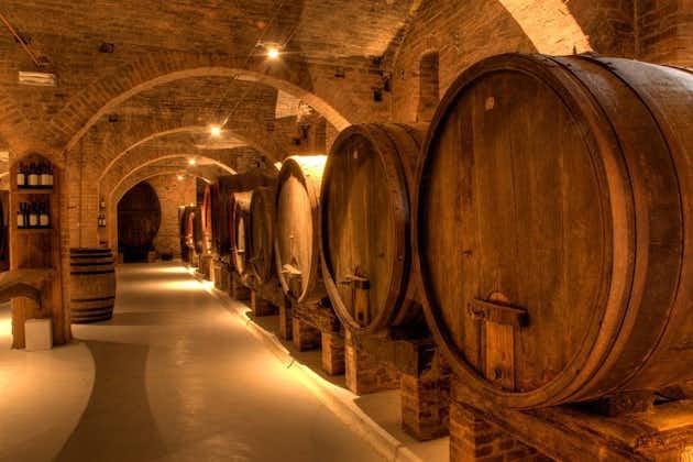 プリミティーヴォとネグラマーロのワイン ツアー: 2 つのワイナリー訪問とレッチェの典型的なランチ