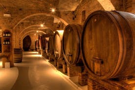 Visite des vignobles de Primitivo et Negramaro : visite de 2 établissements vinicoles et déjeuner typique de Lecce