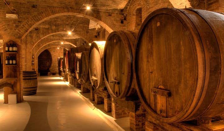 Primitivo and Negroamaro wine tour: a visit to two wineries and typical lunch. From Lecce