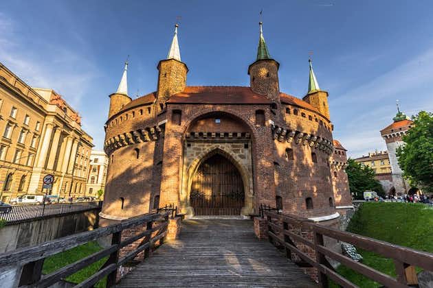 Old Town Krakow & Wawel Castle Walking Tour from Krakow, Poland