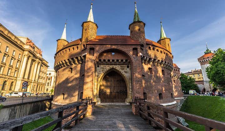 Visite à pied de la vieille ville de Cracovie et du château de Wawel