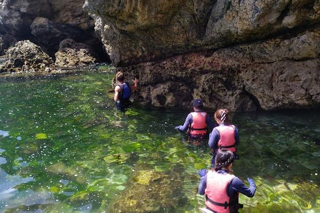 Kajak-Abenteuer: Klippenspringen, Meereshöhlen, Schnorcheln und Mittagessen