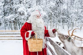 Viaje al círculo polar ártico, Santa Claus Village y Santas Reindeer.