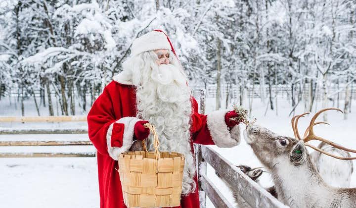 Trip to Arctic Circle, Santa Claus Village and Santas Reindeer