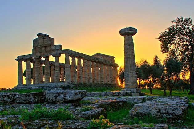 Paestum and Dairy day tour from Naples