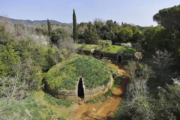 Cerveteri: tour privado de la necrópolis etrusca desde Roma