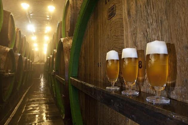 Pilsen은 점심 도시 및 맥주 시음을 포함한 소그룹 투어 및 Pilsner Brewery 투어 하이라이트