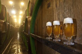 Pilsen fremhæver Small-Tour og Pilsner Brewery Tour, herunder frokost og ølsmagning
