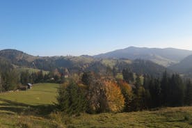 Private Tour : Bucovina From Brasov 2 days 