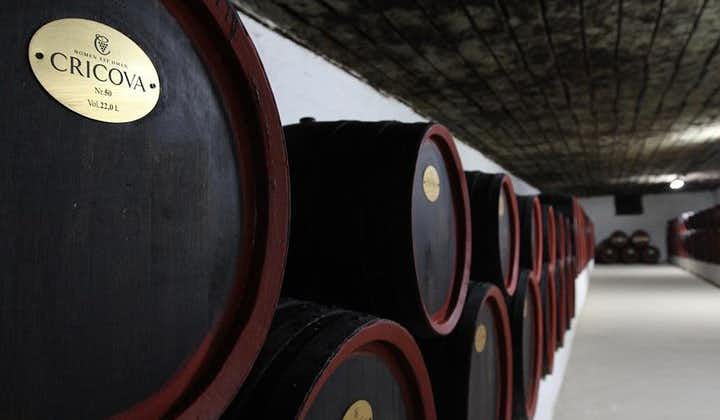 Cricova Winery, Tiraspol City 및 Bender Fortress-하루 만에 2 가지 견학!