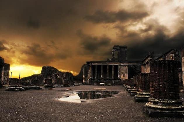 Dagtur fra Rom: Pompeji og Herculaneum - privat tur