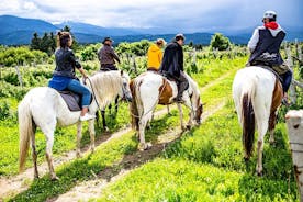 Équitation dans la montagne de Rila