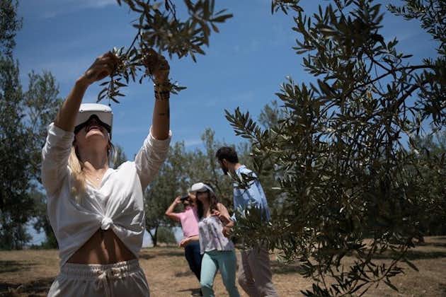 Wunderbare Olivenölverkostung – 5-stündige Tour