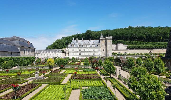 Loire Valley Half Day : Villandry and Azay-le-Rideau from Tours 