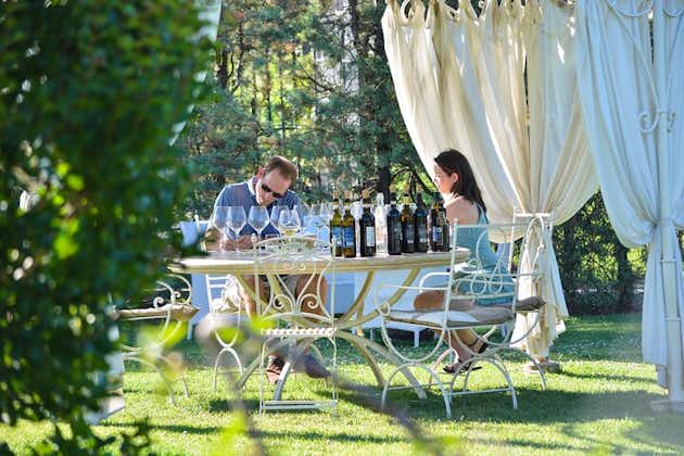 Degustazione privata di vini con cibo a San Gimignano