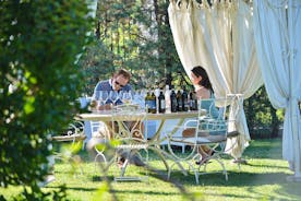 Experiencia de cata de vinos con comida en San Gimignano