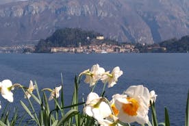 Tour di un giorno da Milano: Lago di Como e Bellagio con crociera in un tour per piccoli gruppi