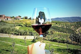 Chianti & Supertuscan Private Tour 2 vingårdar med lätt lunch