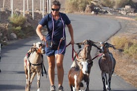 Goat trekking Fuerteventura