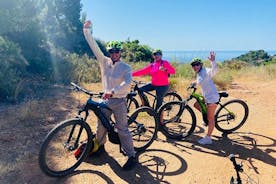 Excursión en bicicleta de montaña eléctrica y de vino desde Marbella Sierra Blanca