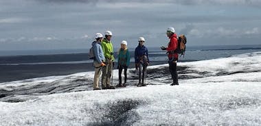 Vatnajökull Glacier Walk from Hali