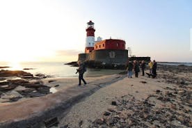 Farne Islands Longstone Lighthouse 2-timers tur fra Seahouses