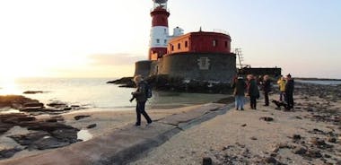 Farne Islands Longstone Lighthouse 2-timmars resa från Seahouses