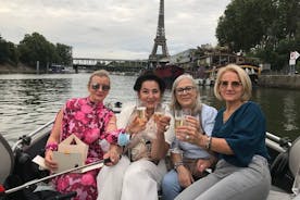 Paris Seine River Private or Shared Boat Tour