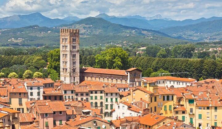 VIP Full-Day Private Pisa and Lucca Tour from Montecatini