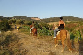 Bodrum Horse Riding Experience w/ Hotel Transfer Service