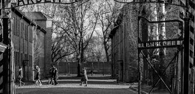 Auschwitz-Birkenau Memorial och Museum Guided Tour från Krakow