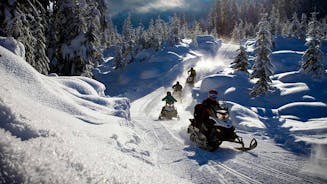 Excursión de un día en moto de nieve y animales