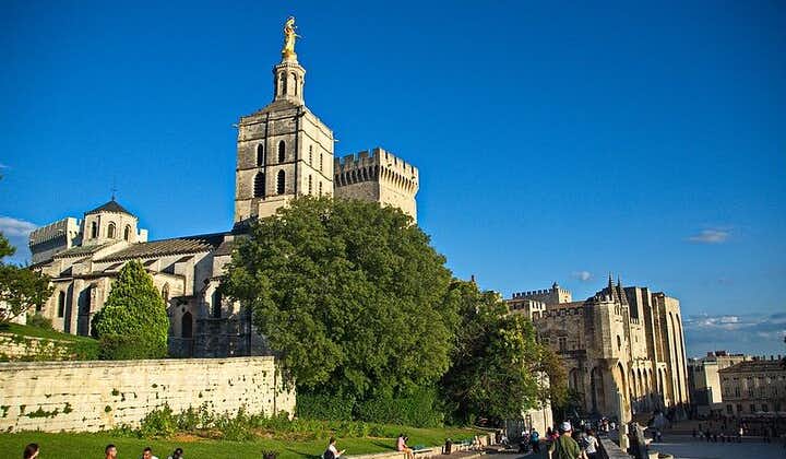 Guided tour of Avignon