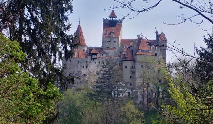 2-Day Transylvania Culture Trek from Brasov - Small Group Tour