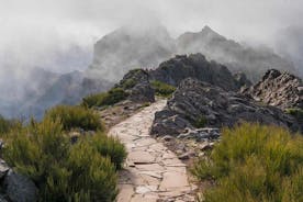 Morning Self-Guided Hike Pico Arieiro to Pico Ruivo w/ Transfers