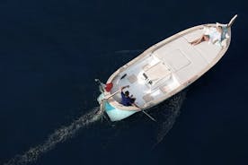 Excursion en bateau privé aux Cinque Terre