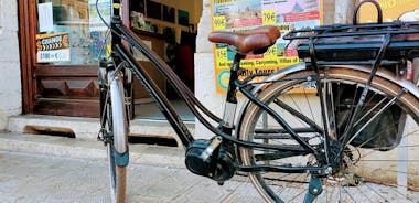 Alquiler de bicicletas eléctricas en Lucca