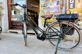 Alquiler de bicicletas eléctricas en Lucca