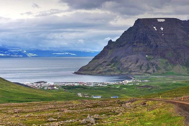Isafjordur와 그 매혹적인 시골 주변 환경의 가이드 개인 투어
