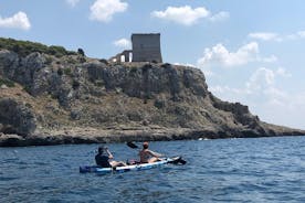 皮划艇和独木舟海上游览：Porto Selvaggio自然公园