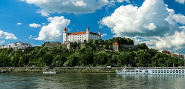 Private Day Trip From Budapest To Gyor And Bratislava