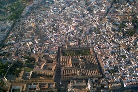 Private 3-hour Walking Tour of Cordoba with official tour guide