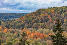 반나절 라트비아 스위스 및 Gauja 국립 공원 개인 투어