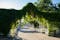 Photo of beautiful and unique pergola covered with green vines in Pärnu Rannapark in summer.